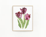 Tulips Black Parrot Print| Watercolor Tulips Painting, Black Parrot Tulips