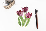 Tulips Black Parrot Print| Watercolor Tulips Painting, Black Parrot Tulips