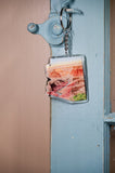 Arizona Keychain, Grand Canyon National Park Keychain, Arizona Artwork Souvenirs Emilie Taylor Art