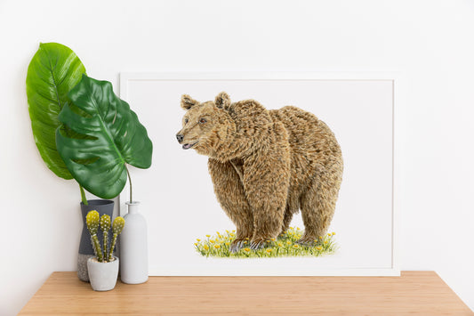 Grizzly Bear Print | Watercolor Brown Bear with Dandelions Painting