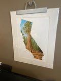 California Sequoia National Park Original Painting Mated to size 16x20 Emilie Taylor Art
