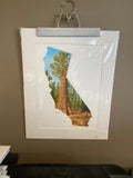 California Sequoia National Park Original Painting Mated to size 16x20 Emilie Taylor Art