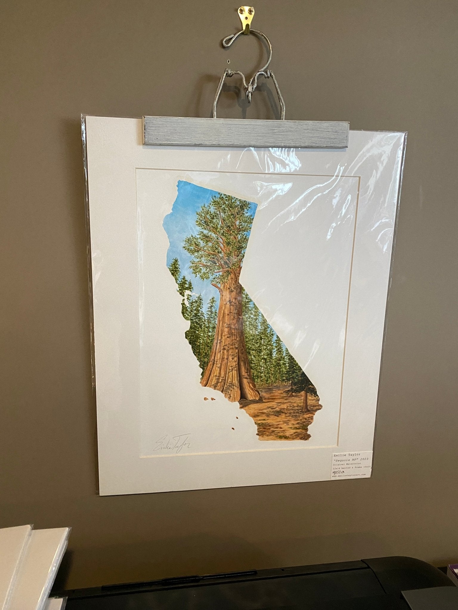 California Sequoia National Park Original Painting Mated to size 16x20 Emilie Taylor Art