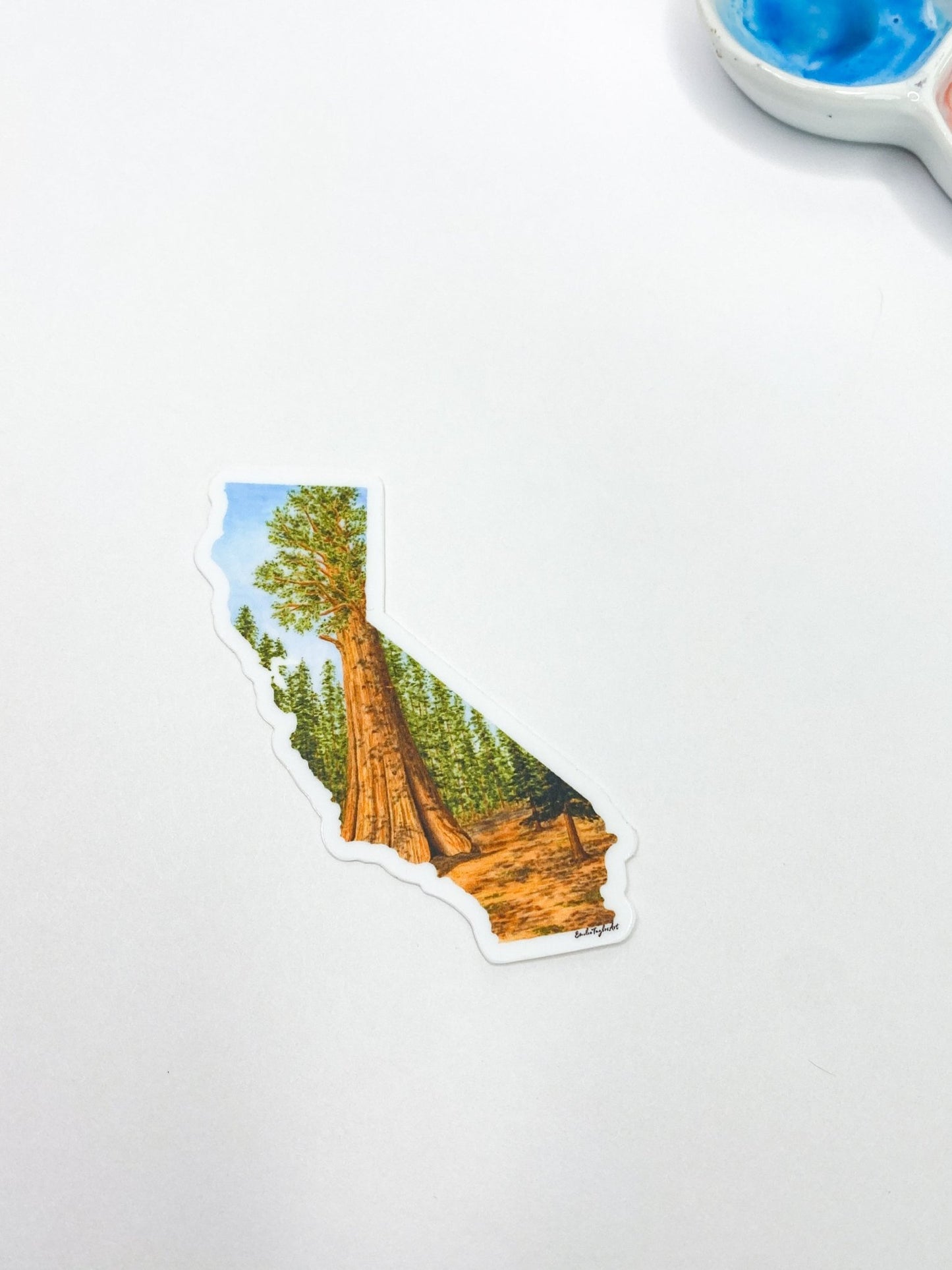 California Sticker, Sequoia National Park Sticker, Watercolor California Sticker, CA Car Decal Emilie Taylor Art