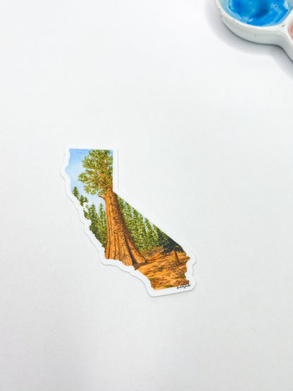 California Sticker, Sequoia National Park Sticker, Watercolor California Sticker, CA Car Decal Emilie Taylor Art