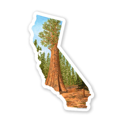 California Sticker, Sequoia National Park Sticker, Watercolor California Sticker, CA Car Decal Emilie Taylor Art