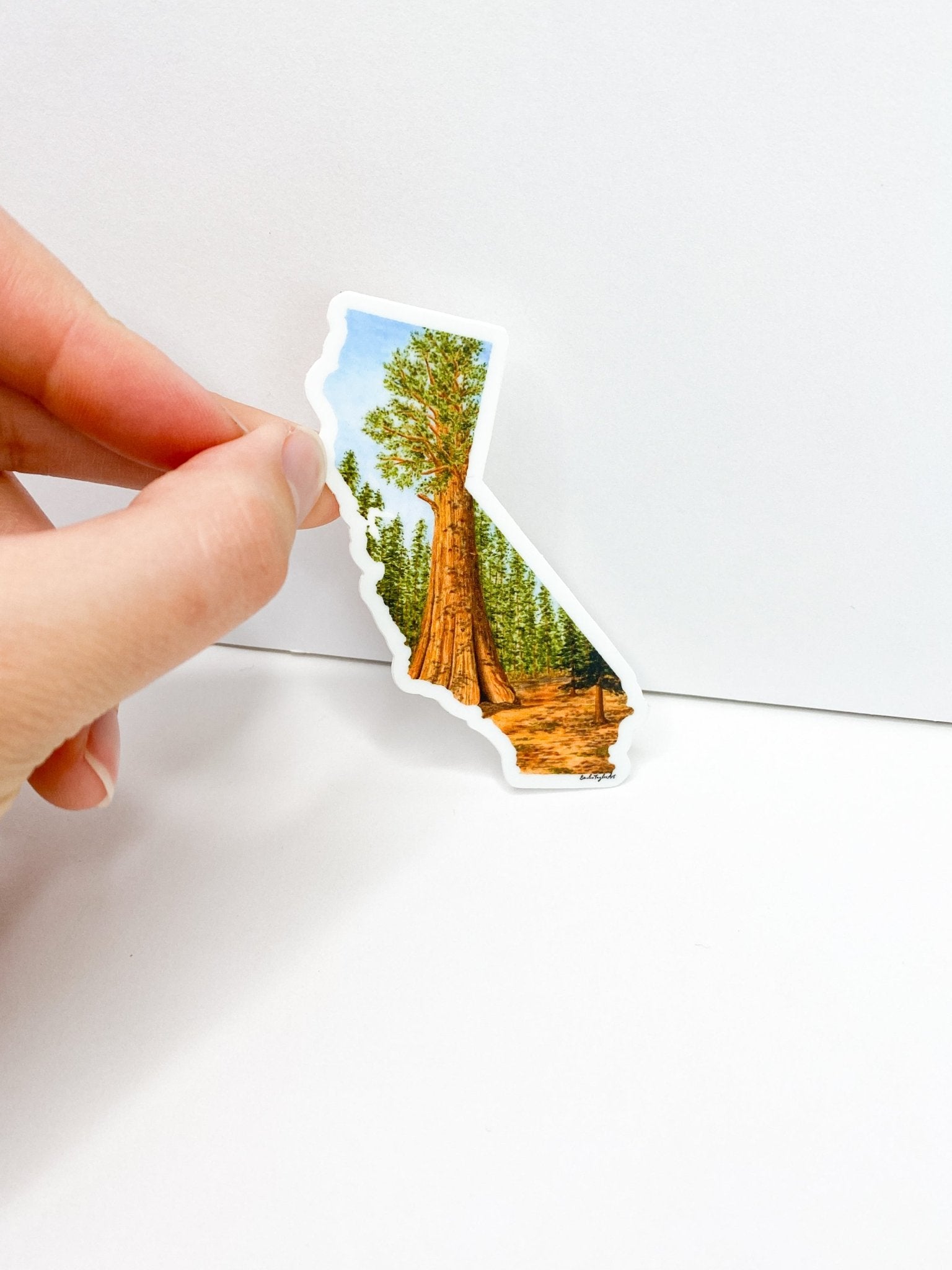 California Sticker, Sequoia National Park Sticker, Watercolor California Sticker, CA Car Decal Emilie Taylor Art