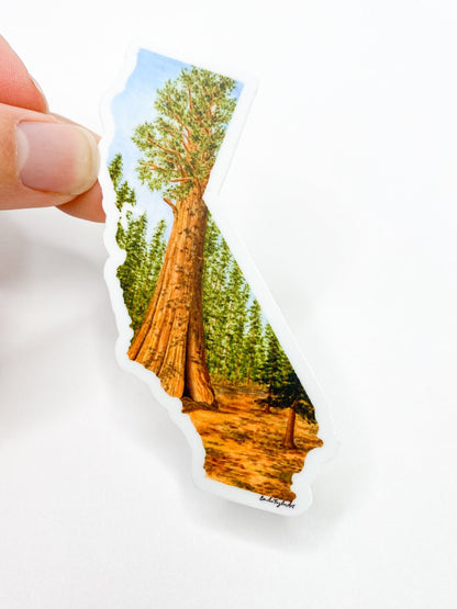 California Sticker, Sequoia National Park Sticker, Watercolor California Sticker, CA Car Decal Emilie Taylor Art