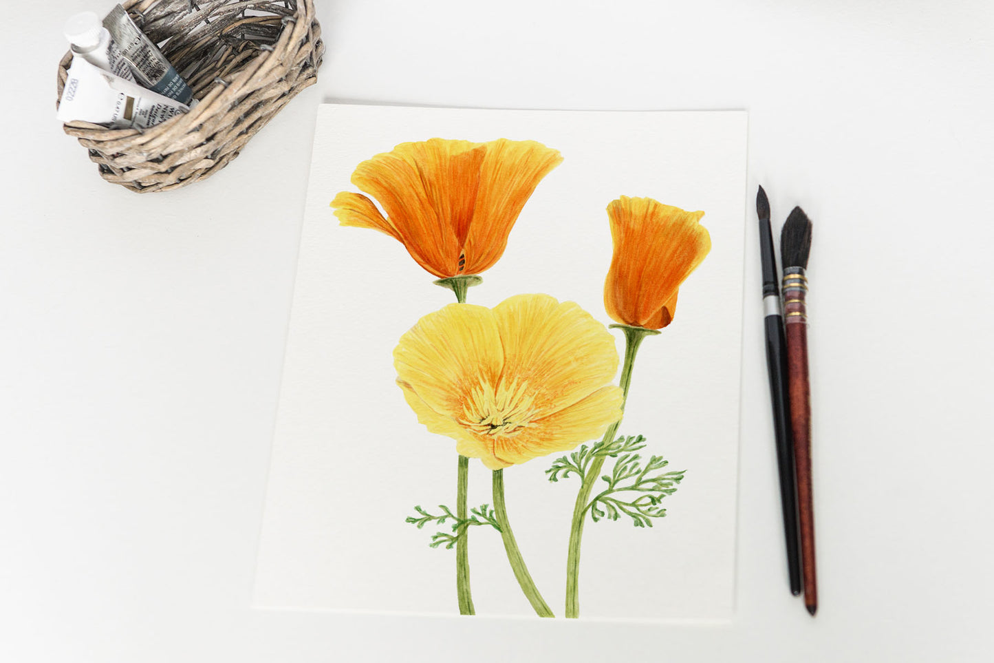 Golden Poppies Print, Watercolor Poppy Painting, California State Flower