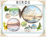 Celebrate a Simple Life Emilie Taylor Art