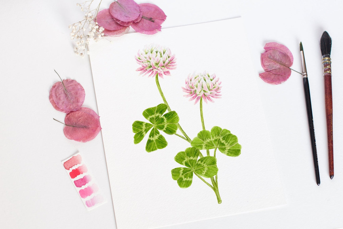Clover Print, Watercolor Clover Painting, Clover Art, Floral Art Emilie Taylor Art