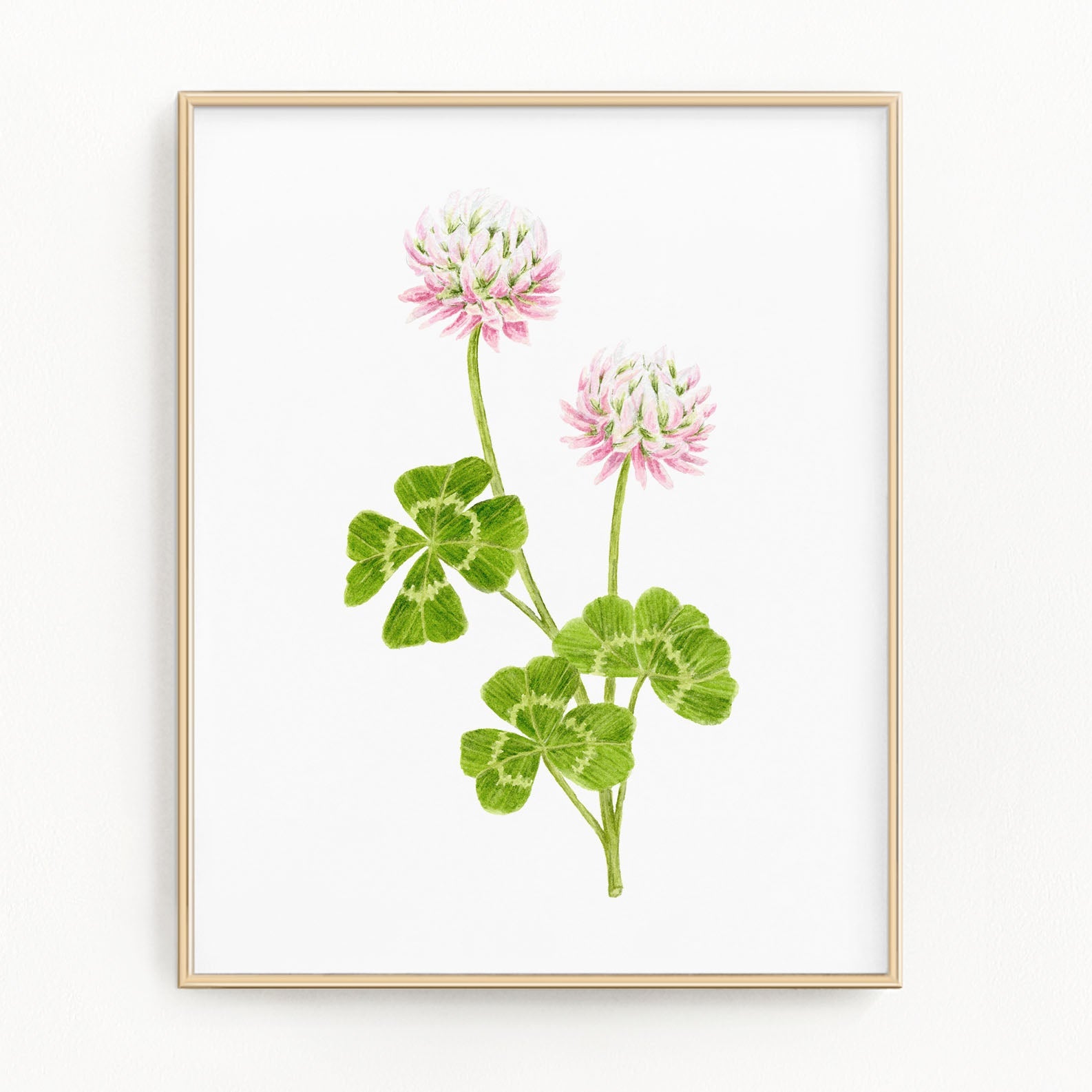 Clover Print, Watercolor Clover Painting, Clover Art, Floral Art Emilie Taylor Art