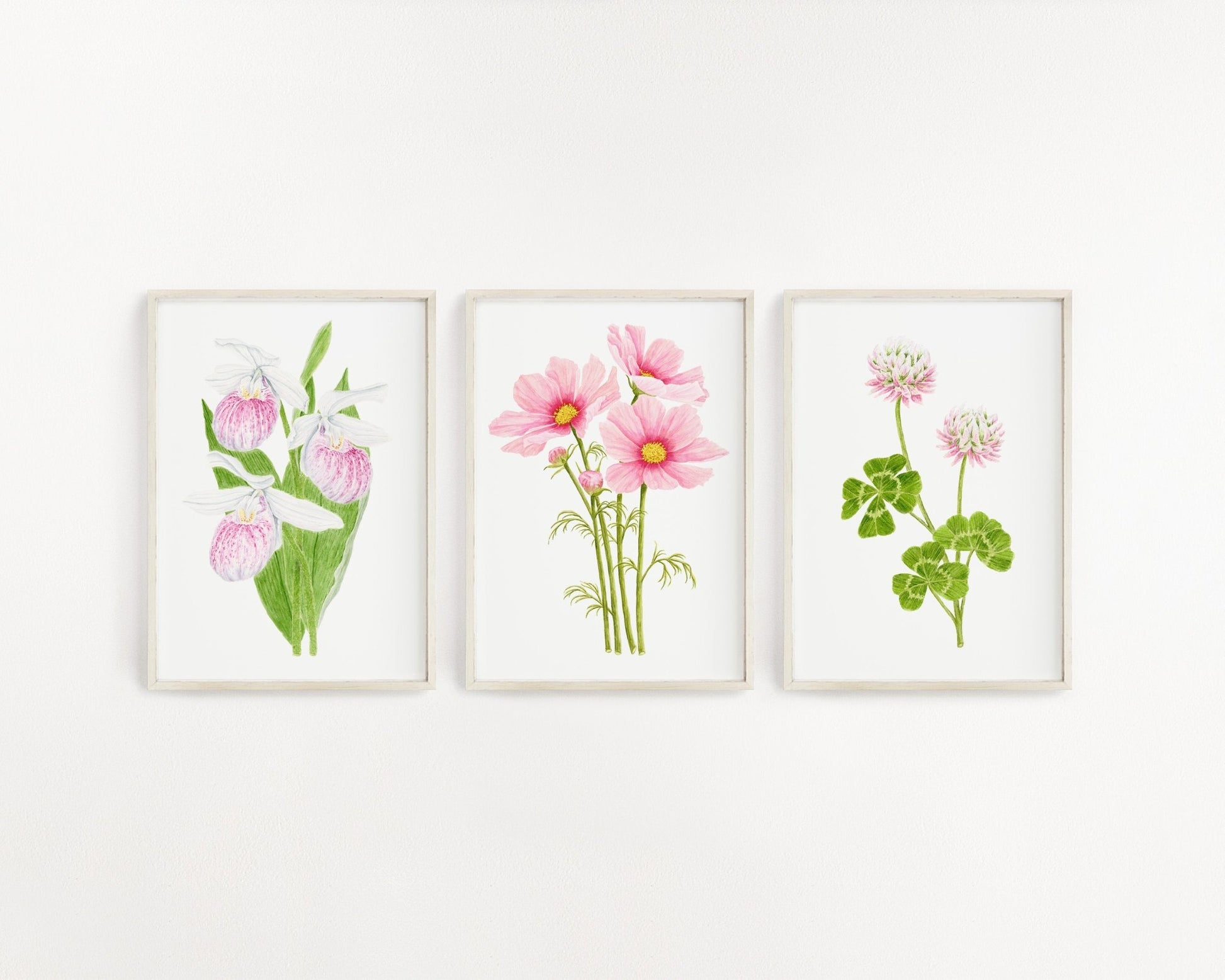 Cosmos Print, Watercolor Cosmo Painting, Pink Cosmo Flower Art, Floral Art Emilie Taylor Art