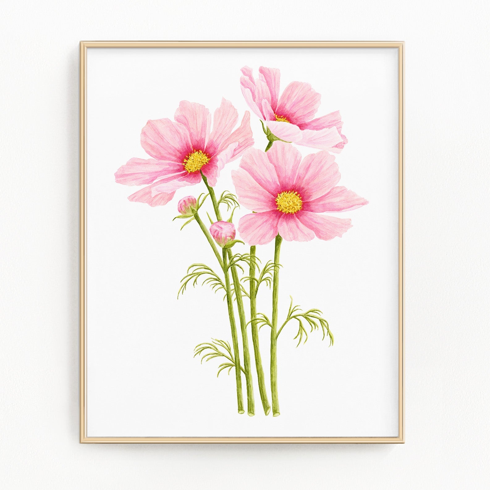 Cosmos Print, Watercolor Cosmo Painting, Pink Cosmo Flower Art, Floral Art Emilie Taylor Art