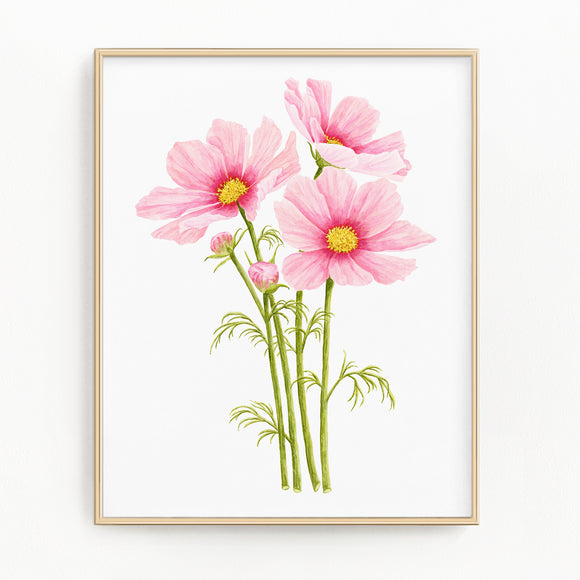 Cosmos Print, Watercolor Cosmo Painting, Pink Cosmo Flower Art, Floral Art