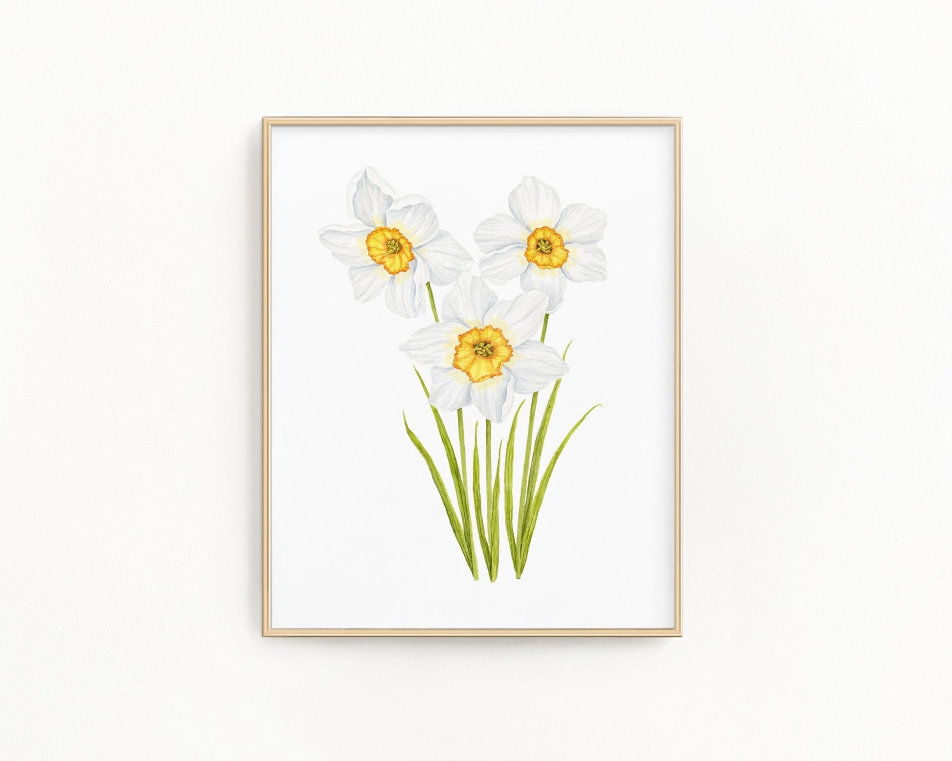 Daffodil Print| Watercolor Daffodils Painting, Narcissus Flower Emilie Taylor Art