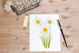 Daffodil Print| Watercolor Daffodils Painting, Narcissus Flower Emilie Taylor Art