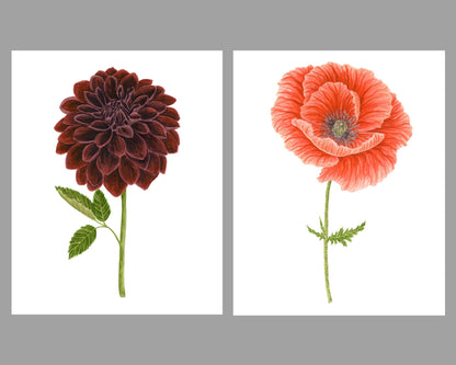 Dahlia Print, Watercolor Dahlia Black Velvet Painting, Black Dahlia Art Emilie Taylor Art