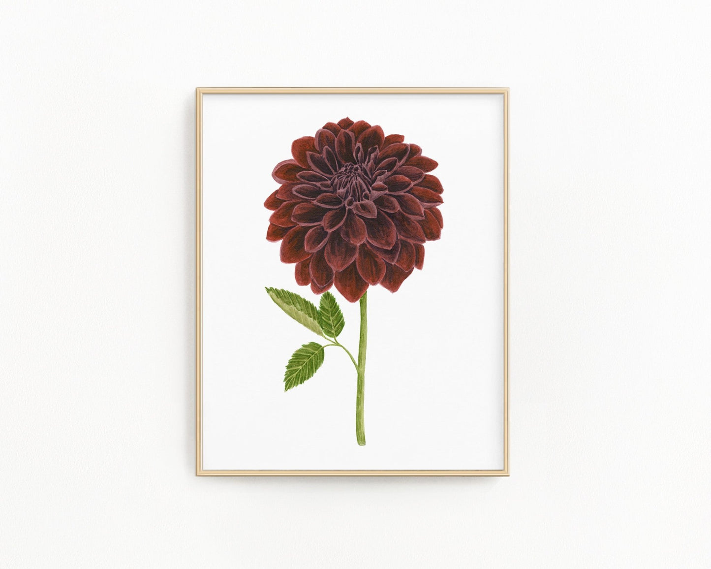 Dahlia Print, Watercolor Dahlia Black Velvet Painting, Black Dahlia Art Emilie Taylor Art