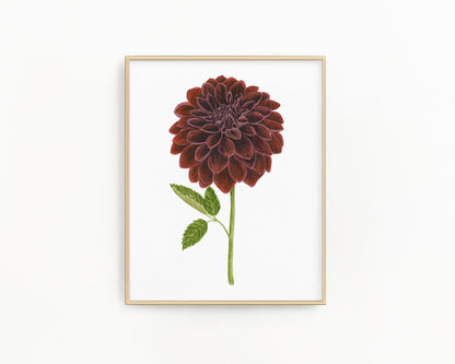 Dahlia Print, Watercolor Dahlia Black Velvet Painting, Black Dahlia Art Emilie Taylor Art