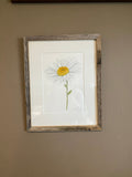 Daisy Original Painting Mated and framed to size 11x14 Emilie Taylor Art