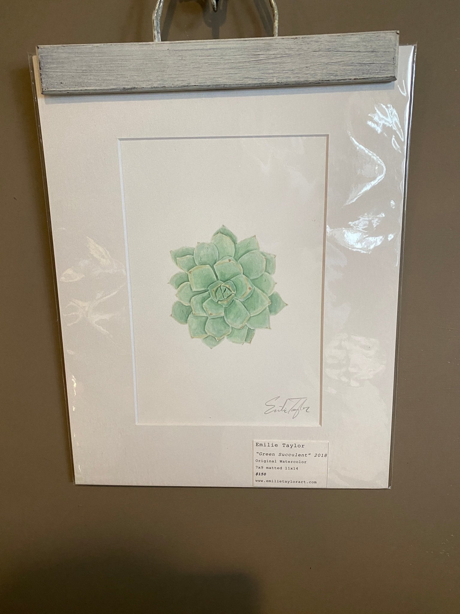 Green Succulent Original Painting Mated to size 11x14 Emilie Taylor Art