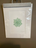 Green Succulent Original Painting Mated to size 11x14 Emilie Taylor Art