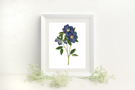Hellebore Print, Watercolor Blue Hellebore Painting, Dark/moody Hellebore Art Emilie Taylor Art