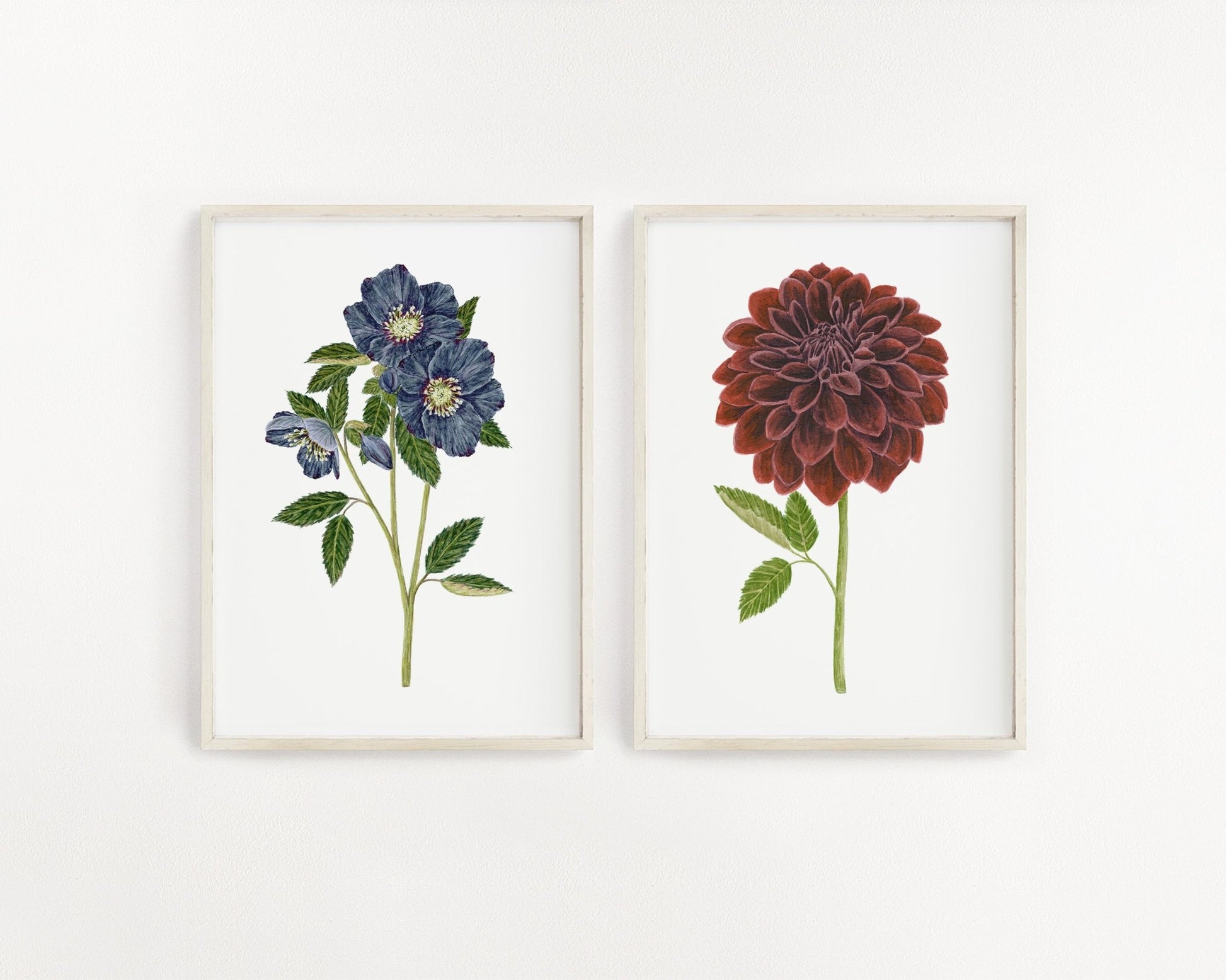 Hellebore Print, Watercolor Blue Hellebore Painting, Dark/moody Hellebore Art Emilie Taylor Art