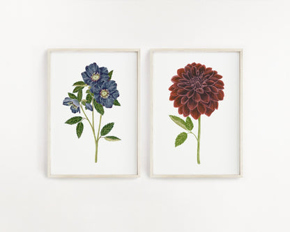 Hellebore Print, Watercolor Blue Hellebore Painting, Dark/moody Hellebore Art Emilie Taylor Art
