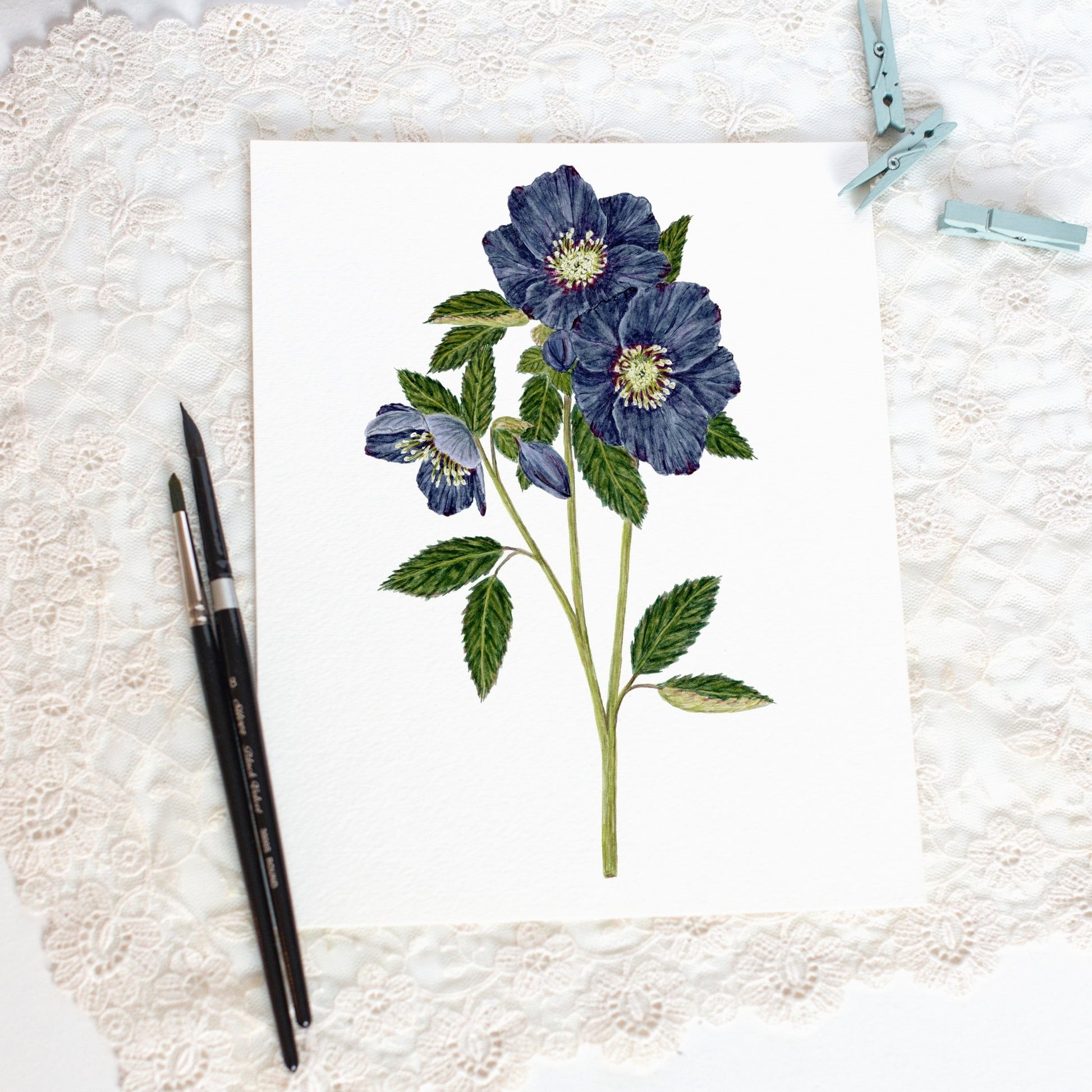 Hellebore Print, Watercolor Blue Hellebore Painting, Dark/moody Hellebore Art Emilie Taylor Art