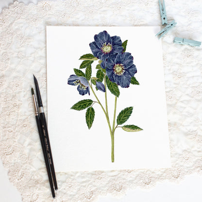 Hellebore Print, Watercolor Blue Hellebore Painting, Dark/moody Hellebore Art Emilie Taylor Art