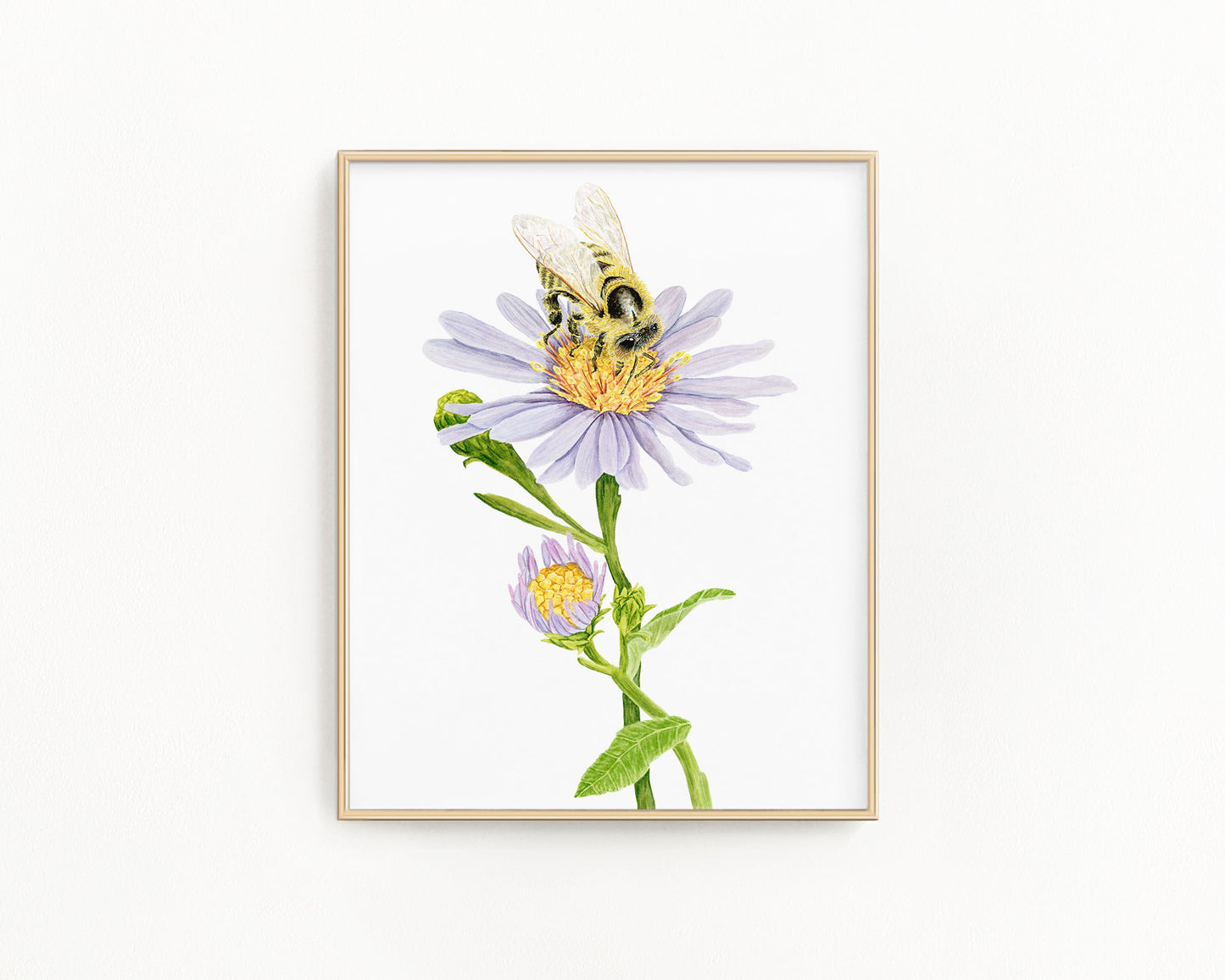 Honey Bee and Aster Flower Print | Watercolor Bee Painting