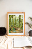 Olympic National Park Print | Hoh Rainforest Poster | Washington National Park | Olympic National Park Souvenir Poster