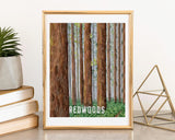 Redwoods National Park Watercolor Art Print | California Park Posters