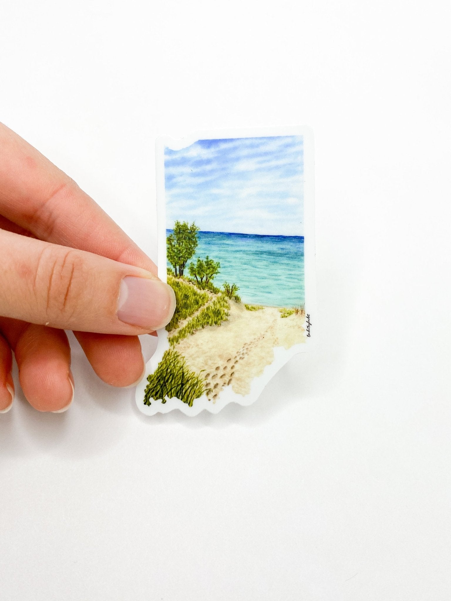 Indiana Dunes National Park Decal, Watercolor Indiana Sticker, Indiana Dunes Souvenir, IN Car Decal, State Decal Emilie Taylor Art