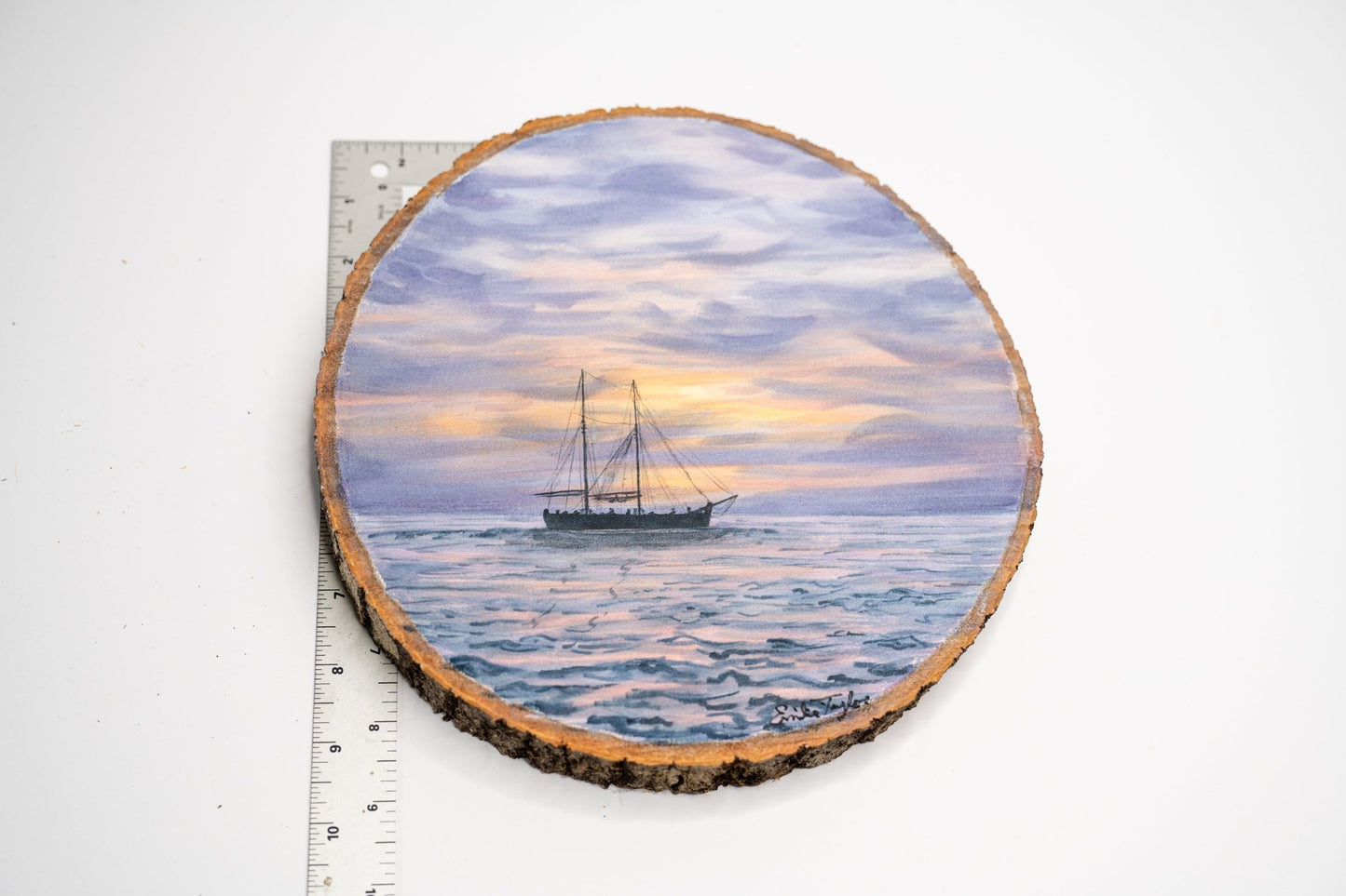 Learning to Navigate Emilie Taylor Art