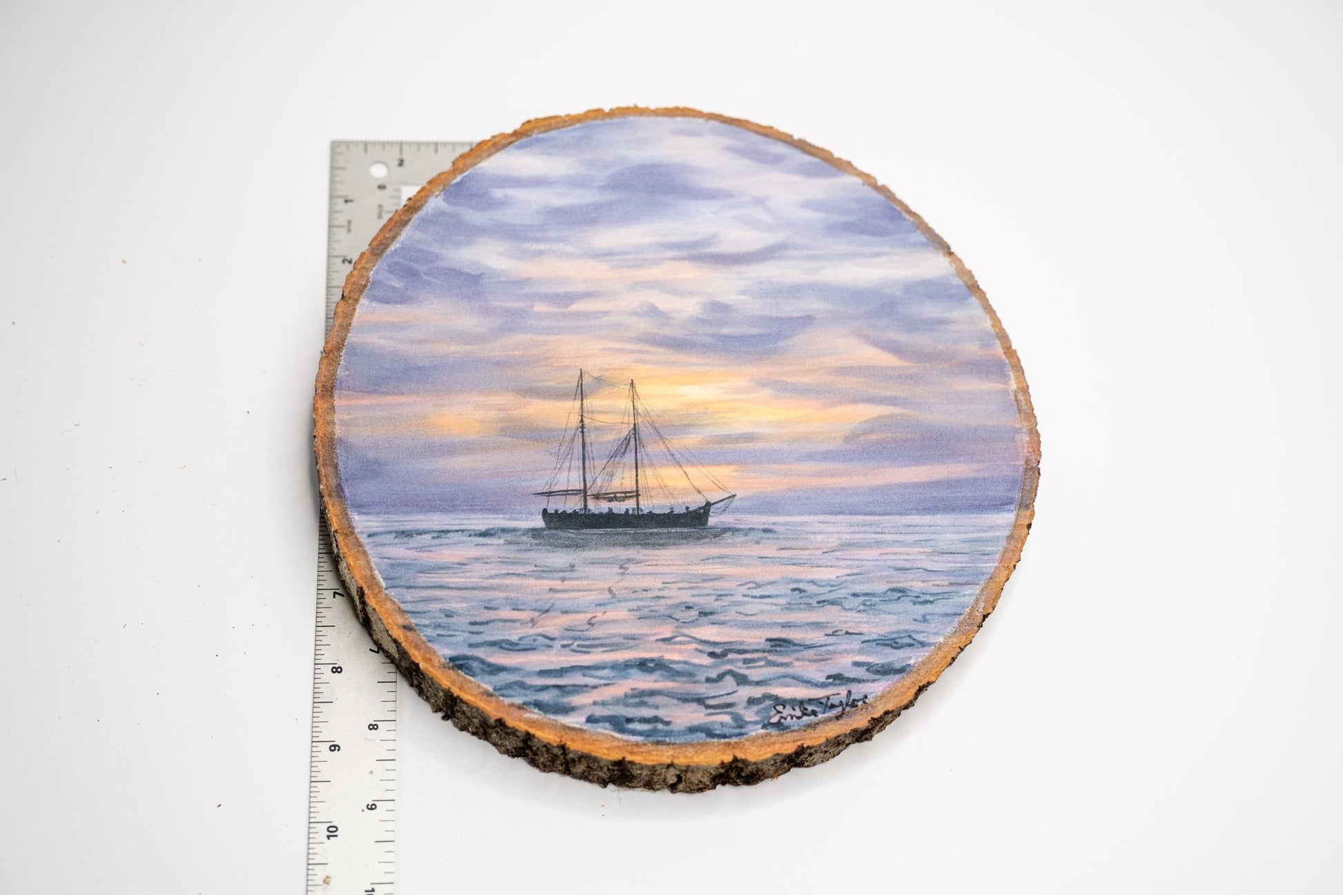 Learning to Navigate Emilie Taylor Art