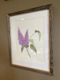 Lilacs Original Painting Mated and framed to size 11x14 Emilie Taylor Art