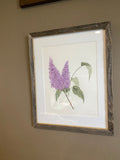 Lilacs Original Painting Mated and framed to size 11x14 Emilie Taylor Art