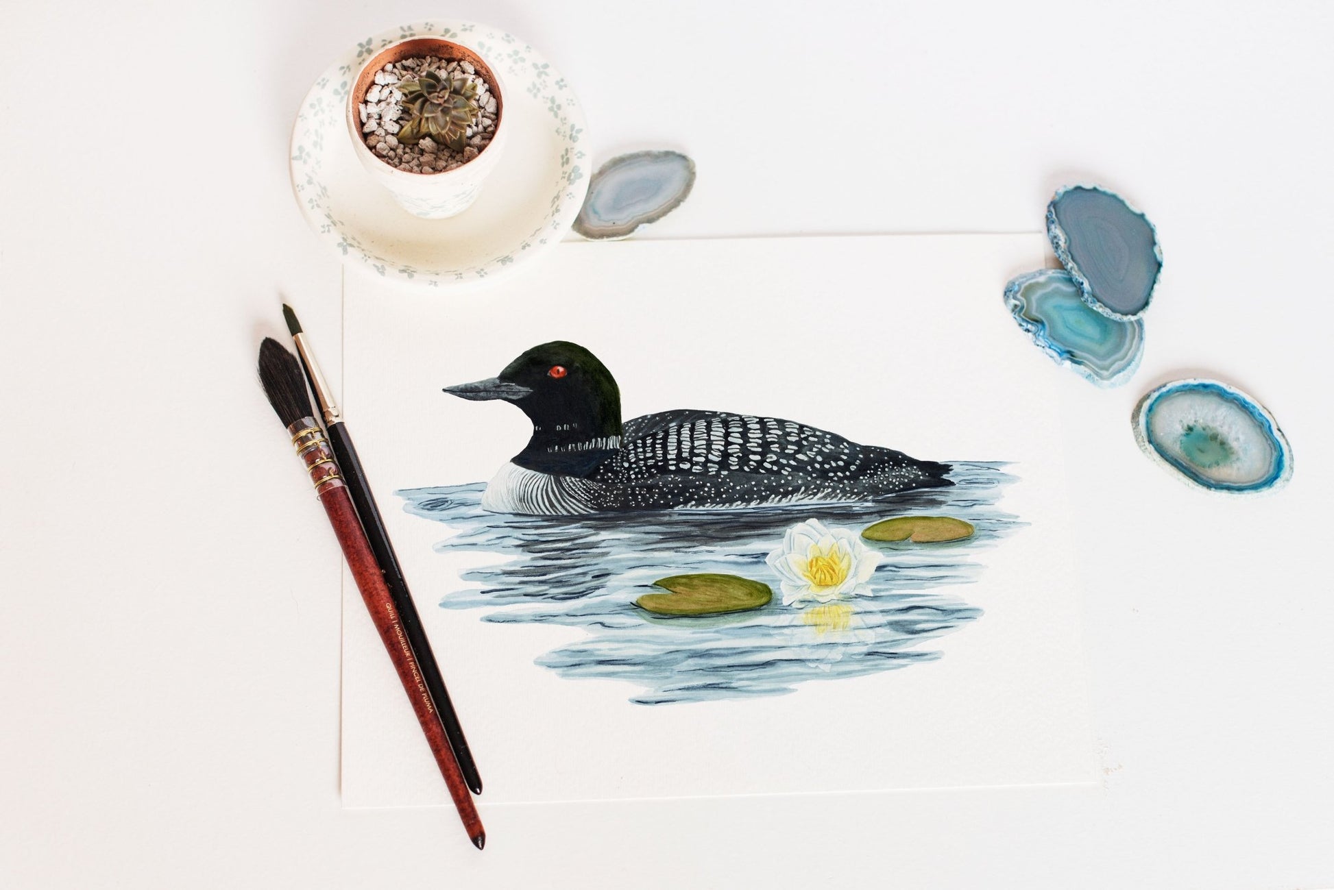 Loon & Waterlily Print | Watercolor Loon Painting Emilie Taylor Art