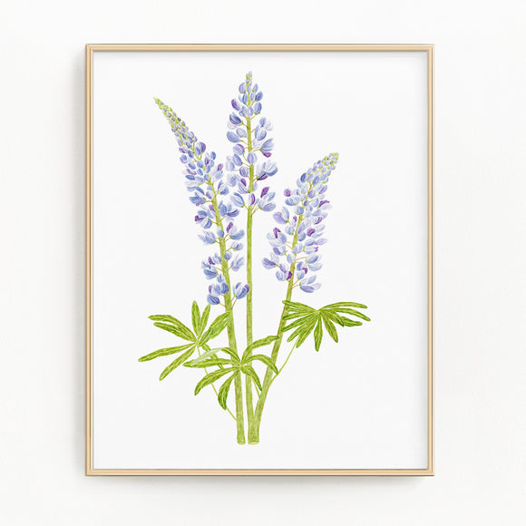 Lupine Print, Watercolor Lupines Painting, Lupine Art, Floral Art, Floral Print, Wild Flowers