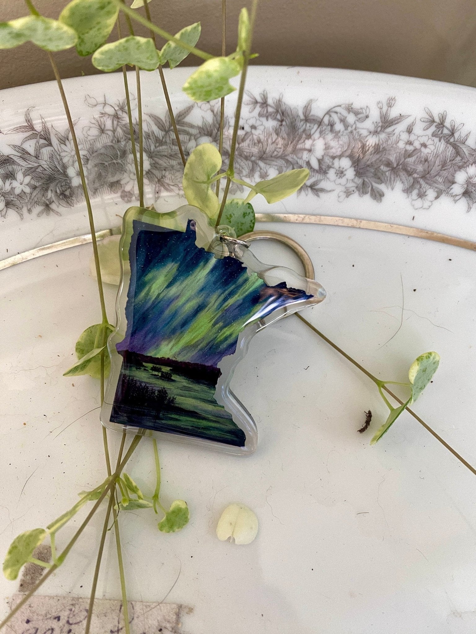 Minnesota Voyageurs National Park Keychain, Minnesota Keychain, Voyageurs Artwork Souvenirs, Northern Lights MN Emilie Taylor Art