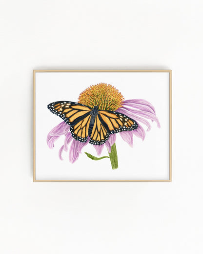 Monarch and Cone Flower Print | Watercolor Monarch Painting Emilie Taylor Art