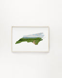 North Carolina Great Smoky Mountains Watercolor Print, Mountains of North Carolina State Art Emilie Taylor Art