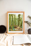 Watercolor Painting of the Hoh Rainforest Hall of Mosses in Olympic National Park on a fine art print