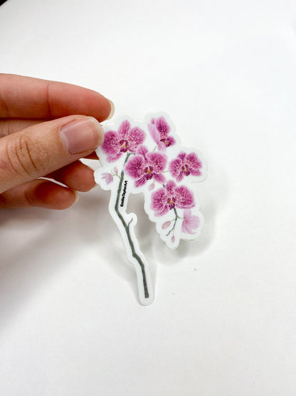 Orchid Sticker, Orchid decal for water bottles, Orchid Art Emilie Taylor Art