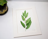 Original Bay Painting Emilie Taylor Art