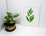 Original Bay Painting Emilie Taylor Art