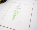 Original Chives Painting (Herb Collection) Emilie Taylor Art